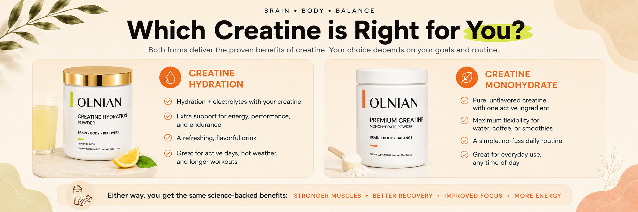 A promotional comparison graphic for OLNIAN creatine products, titled 'Which Creatine is Right for You?'. It shows two white OLNIAN bottles side by side with detailed benefit callouts for Creatine Hydration and Creatine Monohydrate on either side, set against a warm beige background with decorative botanical elements.
